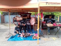 Tulang - Thumbnail 2