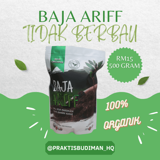 Baja Ariff - Image 1