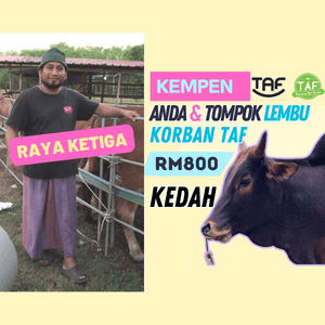 RAYA KETIGA* TOMPOK LEMBU KORBAN - Image 1