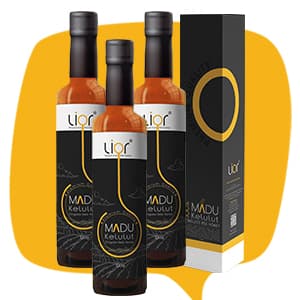 Madu Kelulut Lior 320g