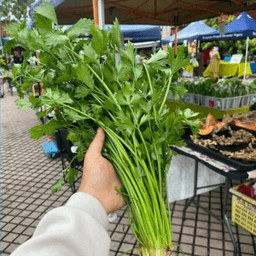 DAUN SUP - Thumbnail 2