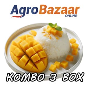 KOMBO 3 BOX PULUT HARUMANIS