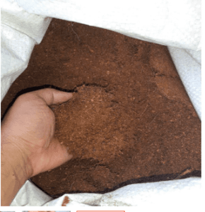 Sabut Debu (cocopeat)