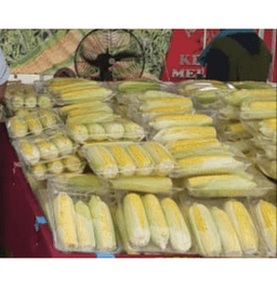 Jagung Segar - Thumbnail 1