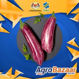 KOMBO TERUNG MINI 7KG Pusat Operasi FAMA Perlis - Thumbnail 2