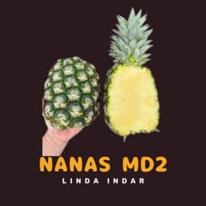 NANAS MD2 GRED B