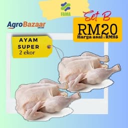 FAMA MOBILE (SET B) - Thumbnail 1