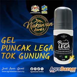 GEL PUNCAK LEGA TOK GUNUNG NAKAWAN HERBS - Thumbnail 1