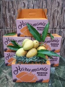 HARUMANIS PERLIS GRED 2 - Image 1