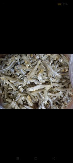 Ikan bilis - Thumbnail 1