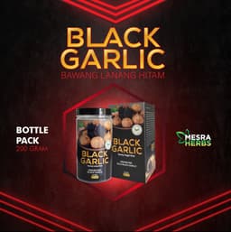 Bawang Lanang Hitam - Sebelum Dikupas - Thumbnail 1