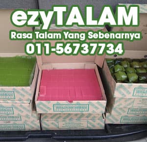 EzyTalam Talam Lapis Merah Putih sekotak (potong 50)