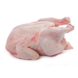 AYAM SEGAR - Image 1