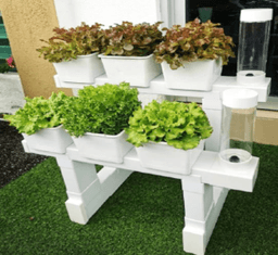 HLT CUTE DOUBLE - Thumbnail 1