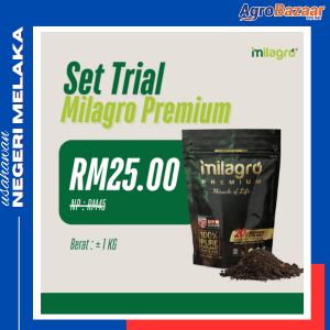 Baja Milagro Premium - Image 1