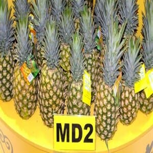 Nanas MD2 Saiz B (2 Biji) - Image 1