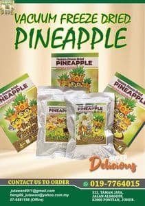 DR HENG PINEAPPLE CHIPS (PRINCES) NANAS KERING - Image 1
