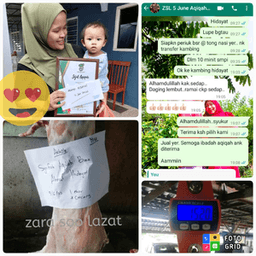 Kambing Aqiqah - Thumbnail 2