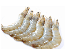 Udang Putih (Vannamei) - Thumbnail 1