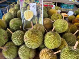 Durian D93 - Thumbnail 2