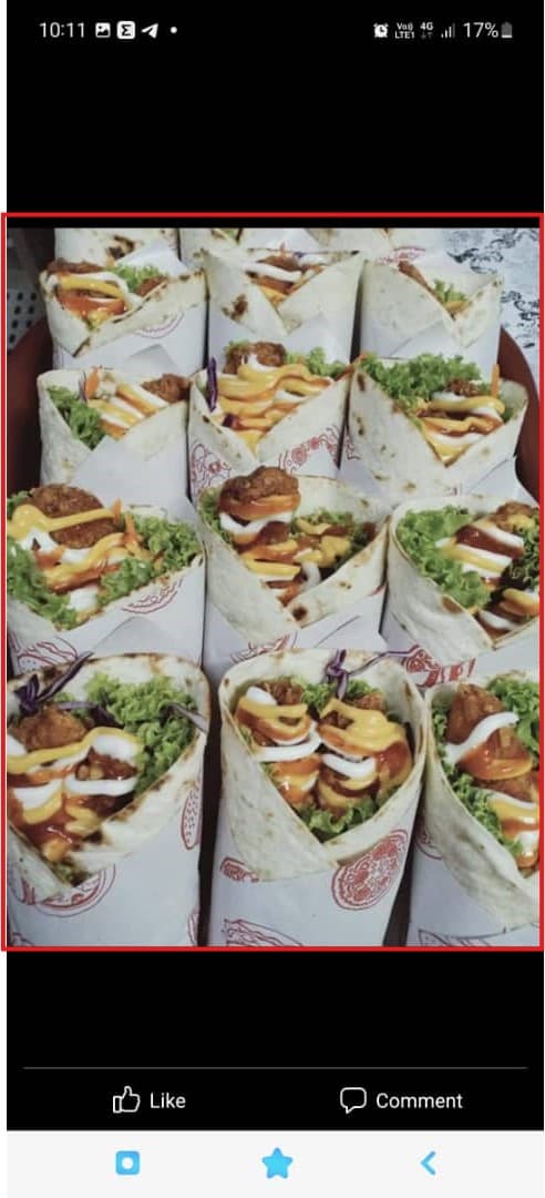 tortila chicken wrap