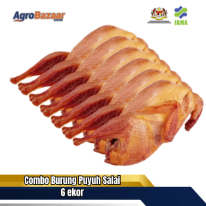 Combo 6 Ekor Burung Puyuh Salai
