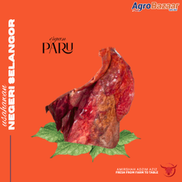 [LEMBU] PARU 500g - Thumbnail 1