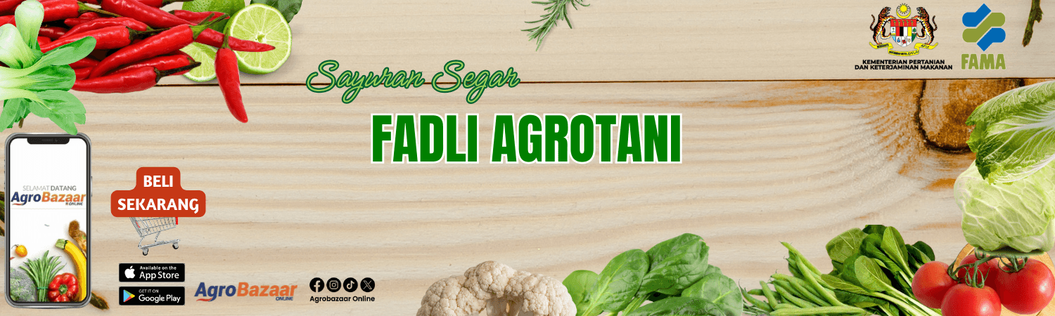 FADLIAGROTANI banner