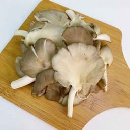 Cendawan Segar - Thumbnail 2