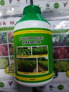 FOLIAR HIJAU (PREMIUM) - Thumbnail 2