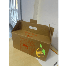 MELON MANIS TERENGGANU (2 BIJI) ZBM AGROTECH - Thumbnail 1