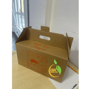 MELON MANIS TERENGGANU (2 BIJI) ZBM AGROTECH