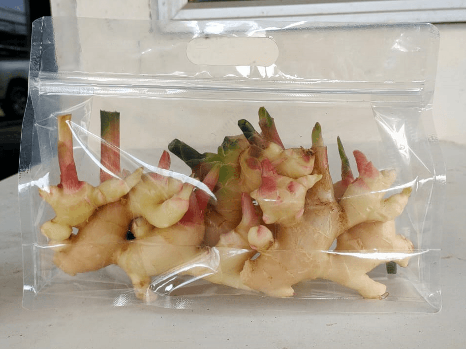 Fresh Ginger - 300g - Image 1