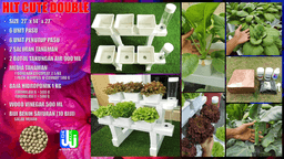 HLT CUTE DOUBLE - Thumbnail 2