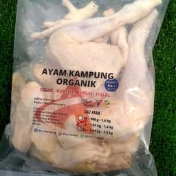 AYAM KAMPUNG ORGANIK AFZA - Thumbnail 1