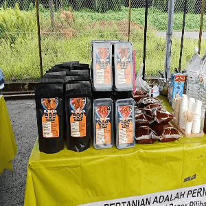 KARNIVAL IMAT KOMBO 3 PES