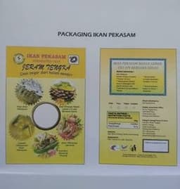 IKAN PEKASAM JERAM TENGKA - Thumbnail 1