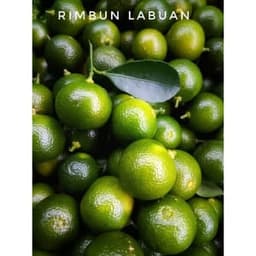 Limau Kasturi 4.5kg 15packs - Thumbnail 1