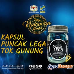 KAPSUL PUNCAK LEGA TOK GUNUNG NAKAWAN HERBS - Thumbnail 1