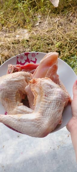 AZ UKWAH AYAM ASLI - Thumbnail 1