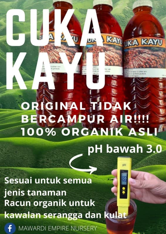 ORIGINAL Cuka Kayu 500ml. ph bawah 3.0. kawalan kulat dan serangga secara organik. free chemical.