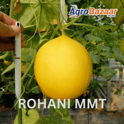 KOMBO MMT 30 - Thumbnail 1