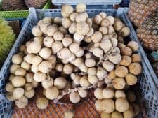 [SELF PICK-UP] LANGSAT - Image 1