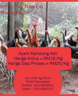 Ayam Kampung Asli - Thumbnail 1
