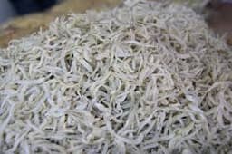 Ikan Bilis Mata Biru - Thumbnail 2