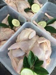 PUYUH SEGAR - PUYUH ORGAPAH -