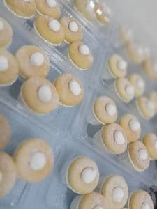 Fluffy Cupcake - Thumbnail 1