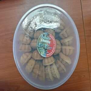 BAHULU CERMAI - Image 1