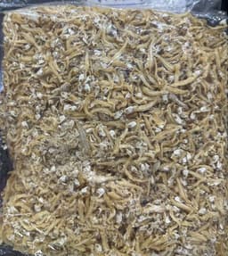 IKAN BILIS BELAH 1KG - Thumbnail 2