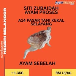 AYAM SEPARUH - Thumbnail 1